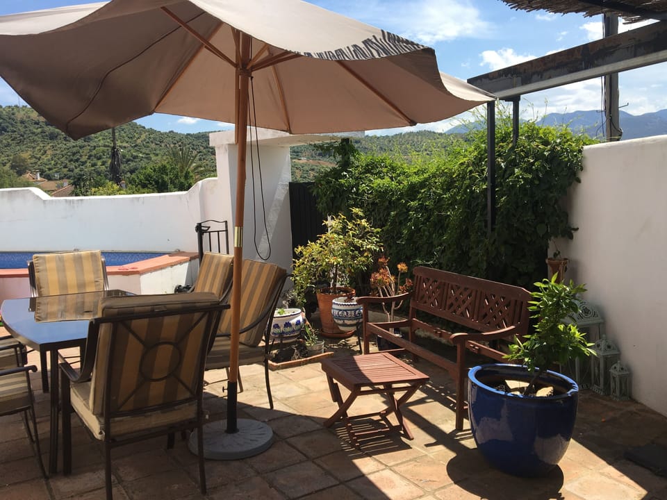 Patio garden
