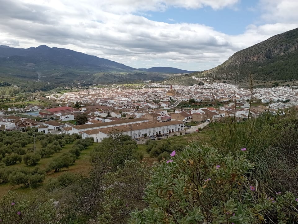 Algodonales