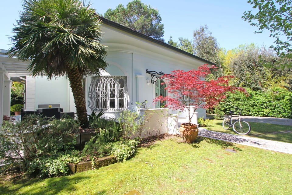 Garden, Outdoor
