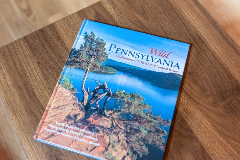 A thoughtful touch for guests to explore the beauty of the region, placed on a rustic wooden coffee table.