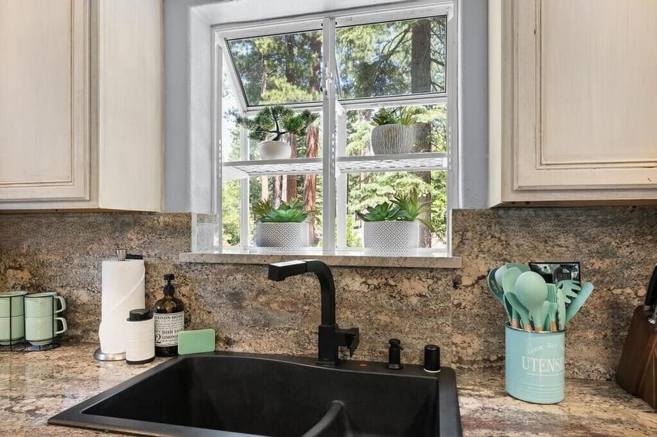 Kitchen Plant window