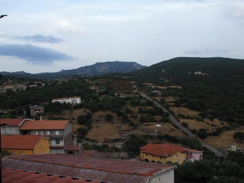 Areal view