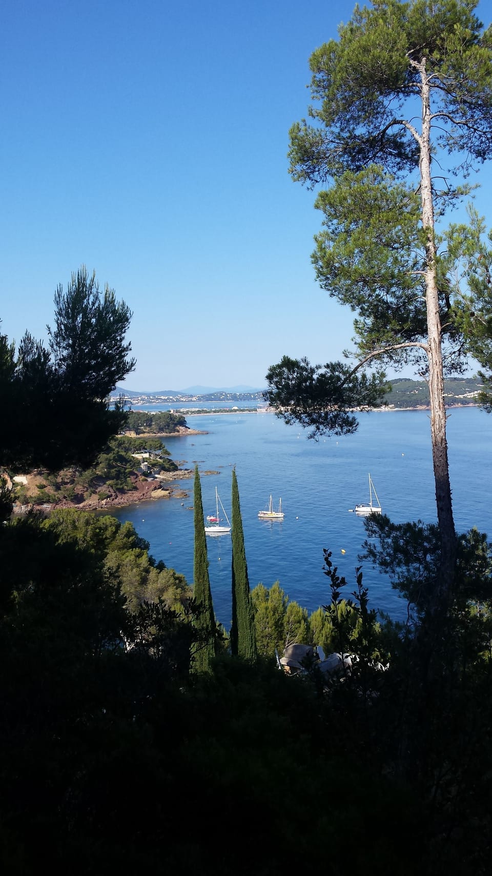 View from property