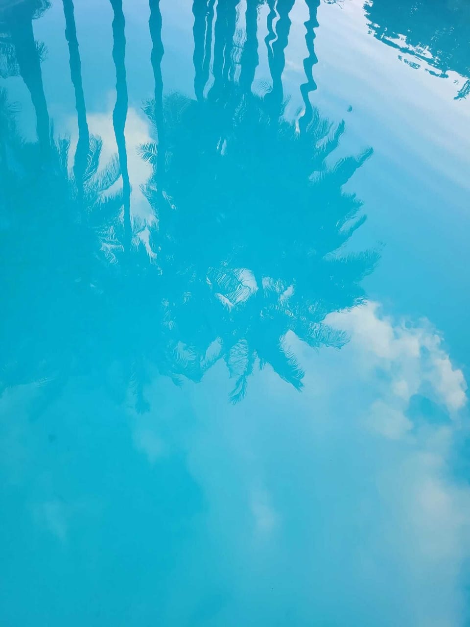 Swimming pool view