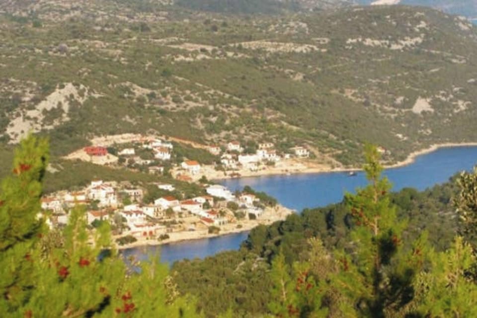 Areal view