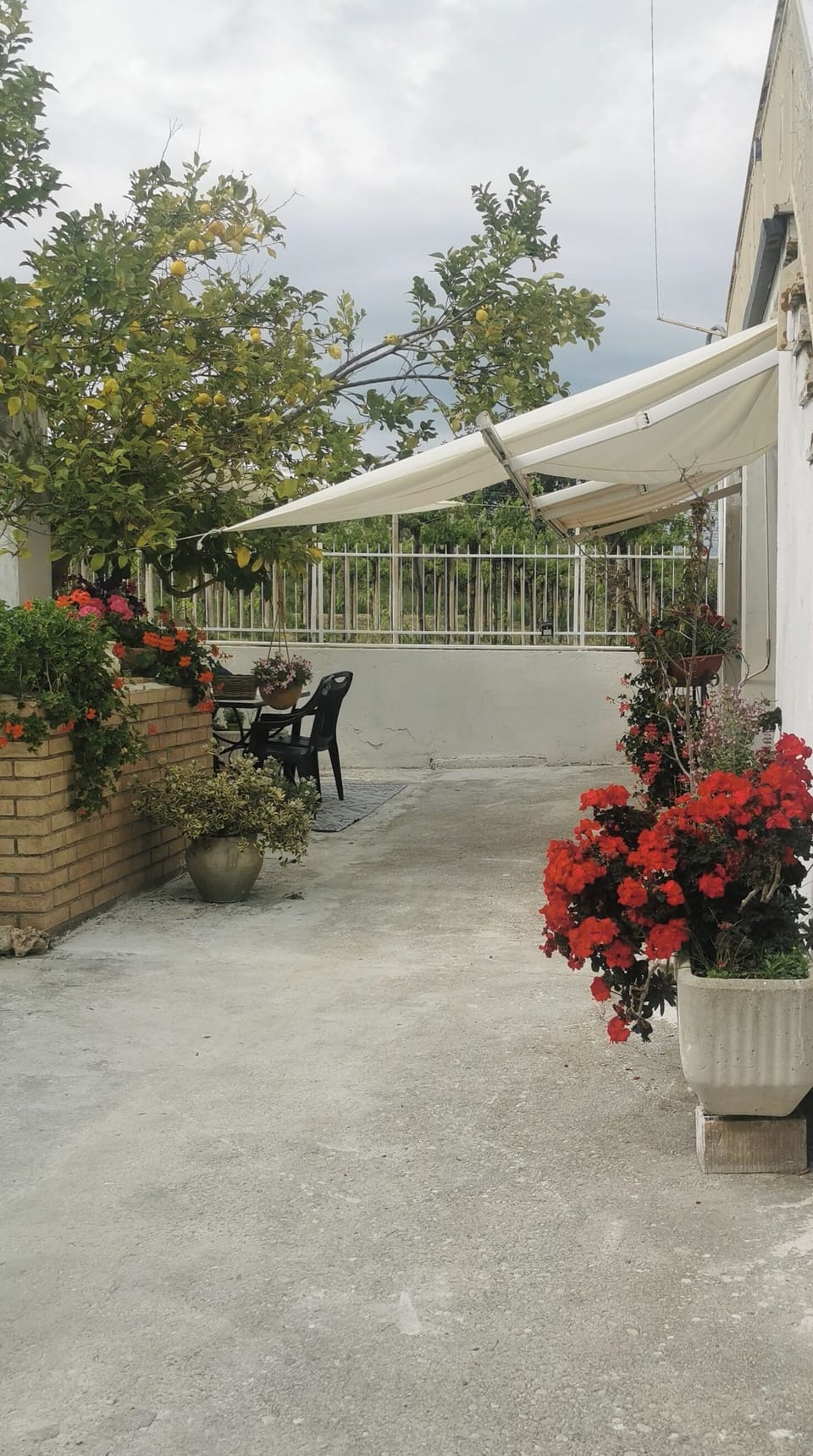 Terrace/patio