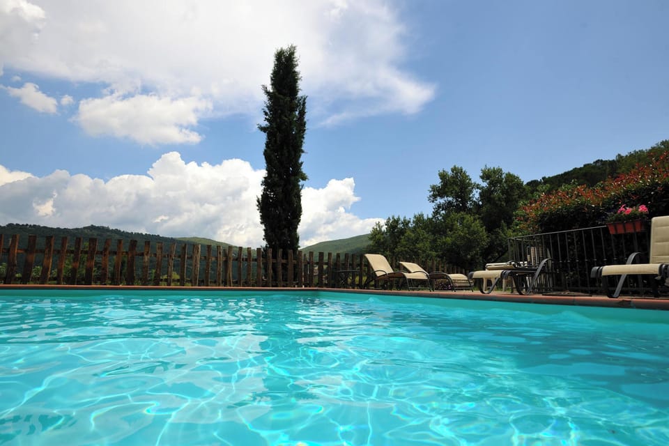 Swimming pool view