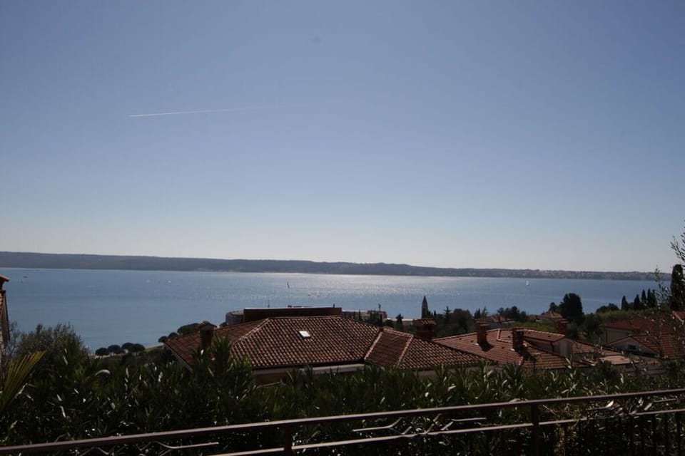 Surroundings [summer] (1-5 km)