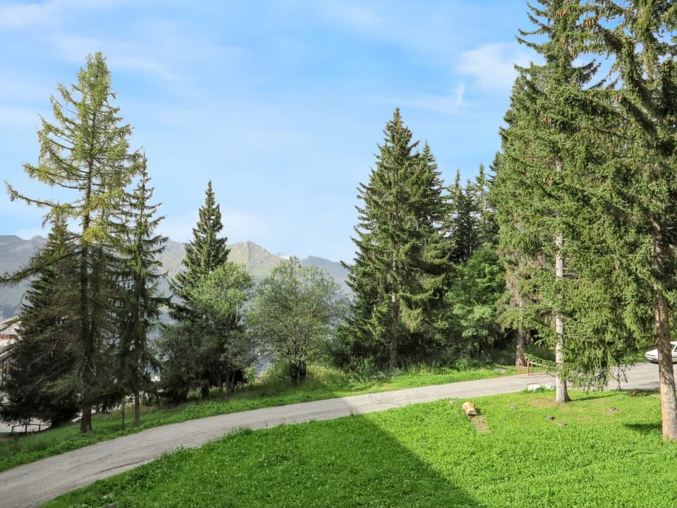 Mountain view