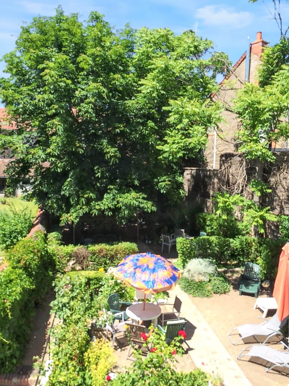 Garden