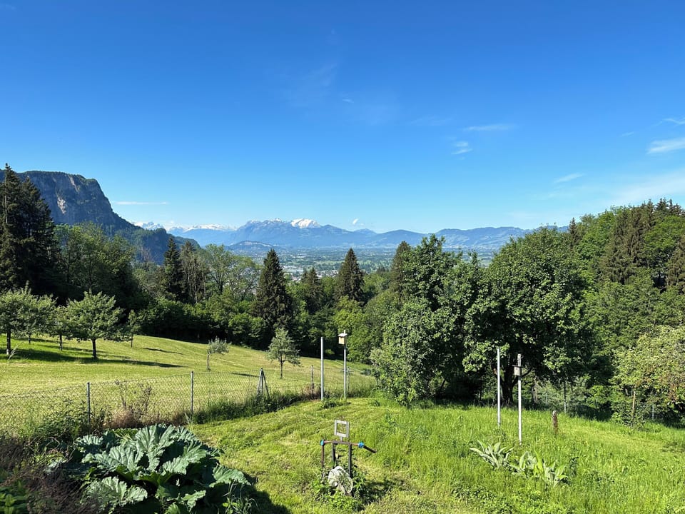 Garten mit Aussicht vom Wohnzimmer
