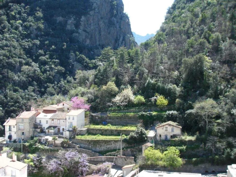 Mountain view