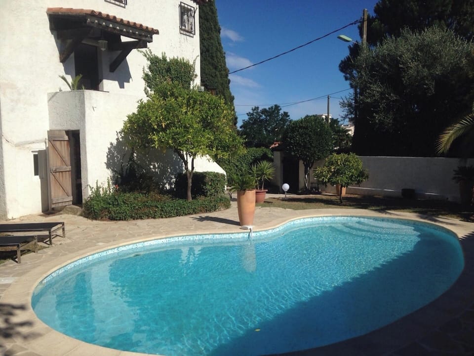 Swimming pool view