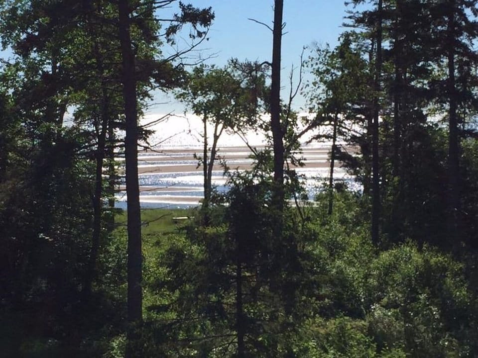 Ocean view from balcony - rear upstairs bedroom #2