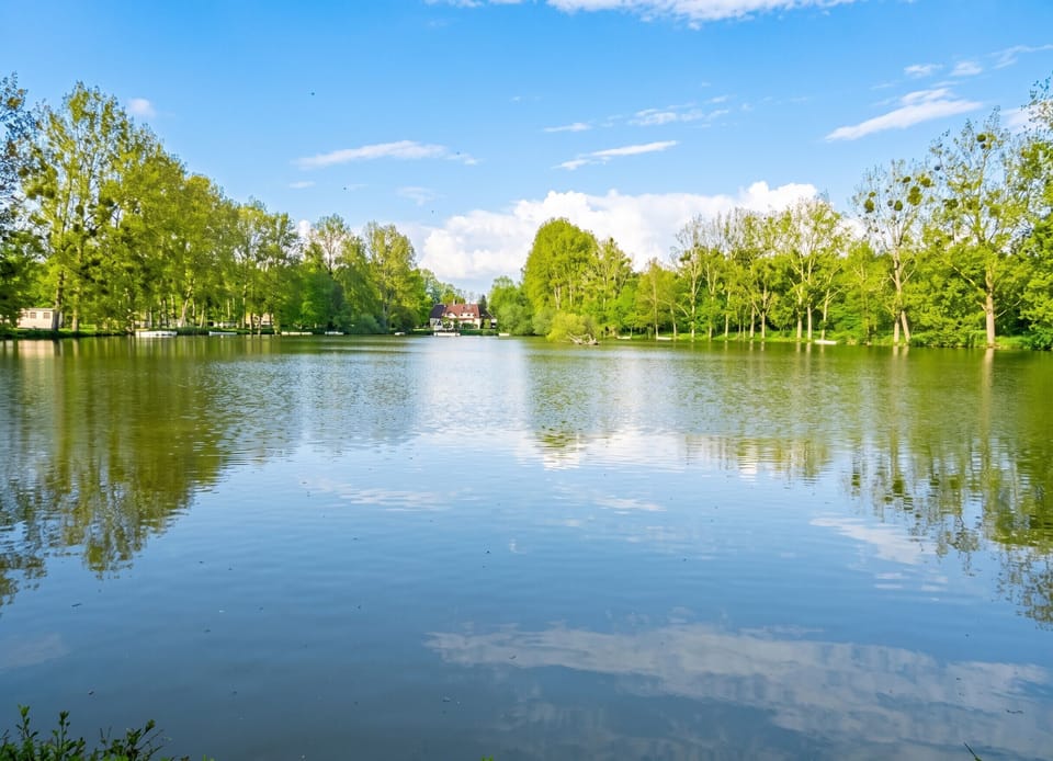 Lake view