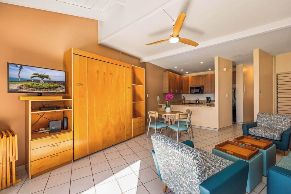 Living room with TV and Murphy bed cabinet