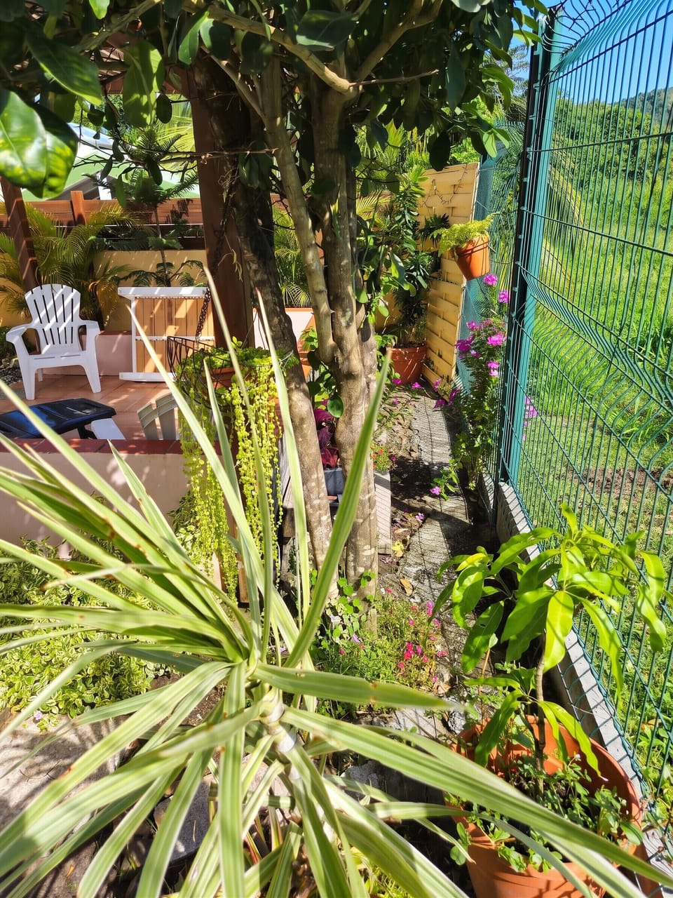 Garden
