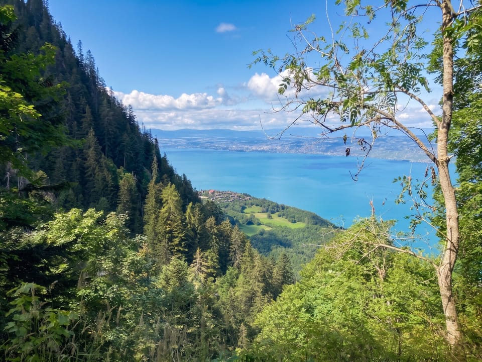Lake view