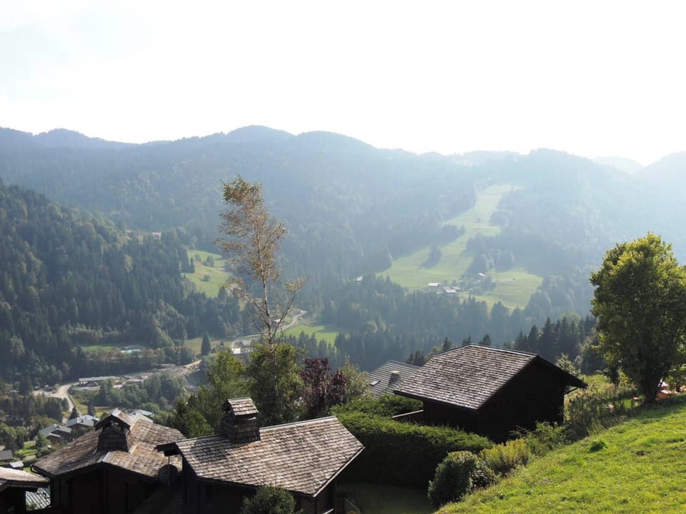 Mountain view