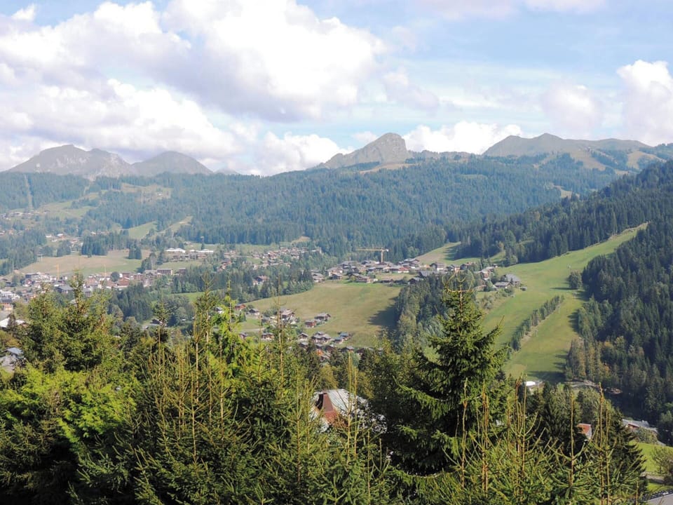 Mountain view