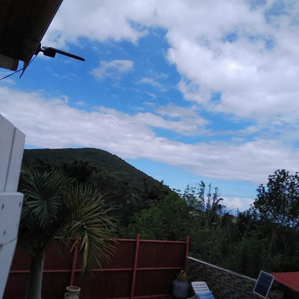 Areal view