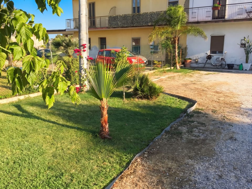 Garden view