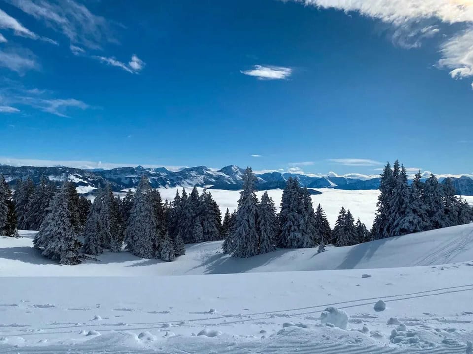 Mountain view