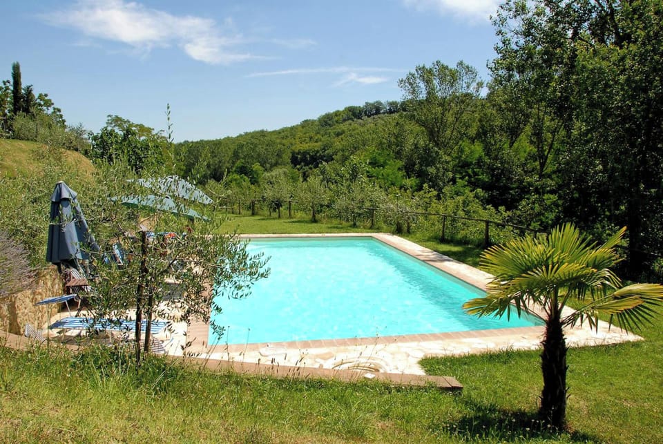 Swimming pool view