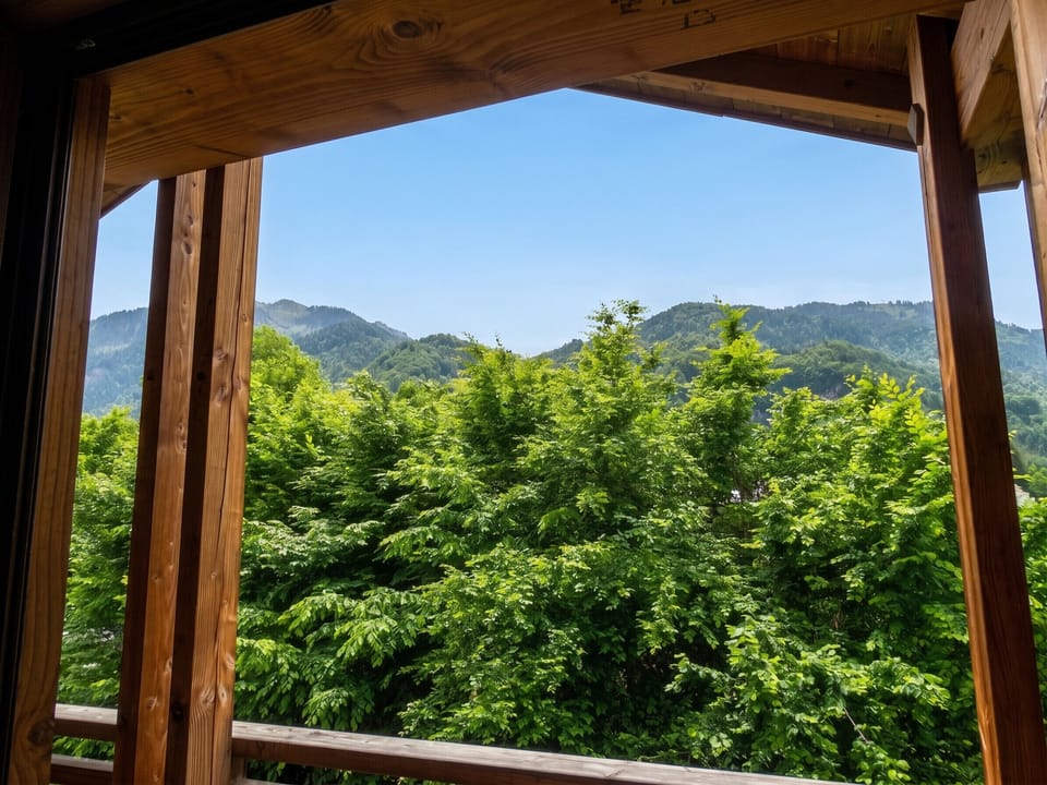 Mountain view