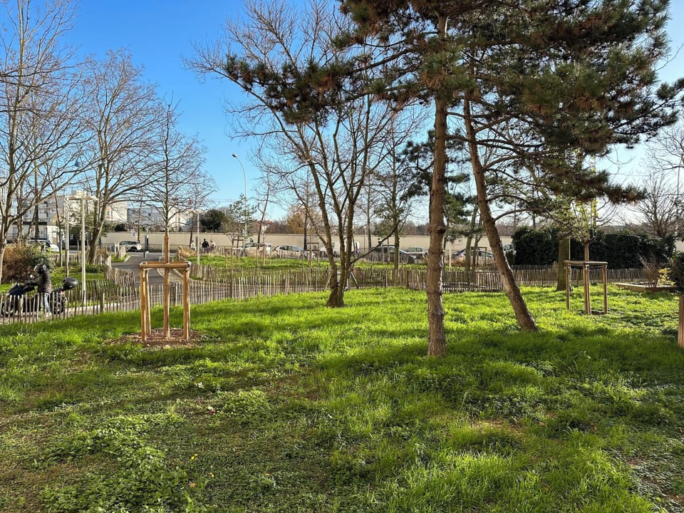 Garden view