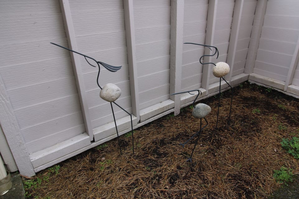 C-1 patio area outside