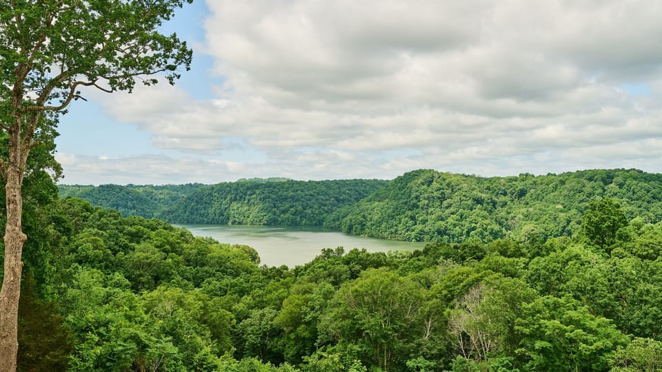 The house overlooks this gorgeous view of Dale Hollow Lake!