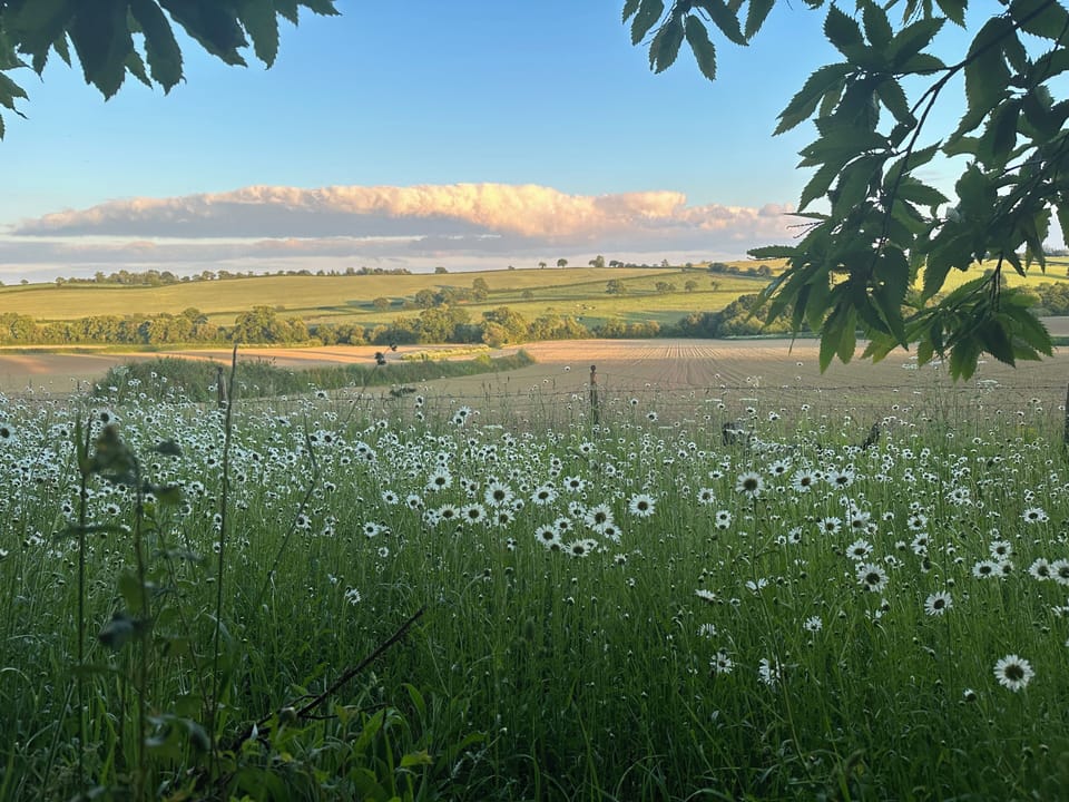 View from bottom of field