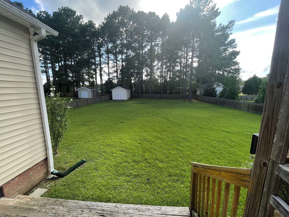 Enjoy the birds and sunsets in the back yard.