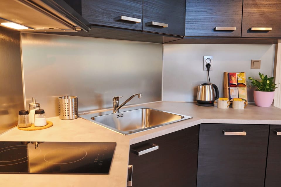 fully equipped kitchen with dishwasher, stovetop and all basic kitchen equipment