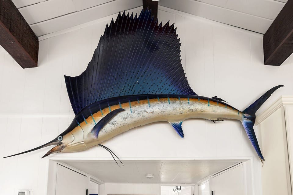 Sea Isle Sailfish!