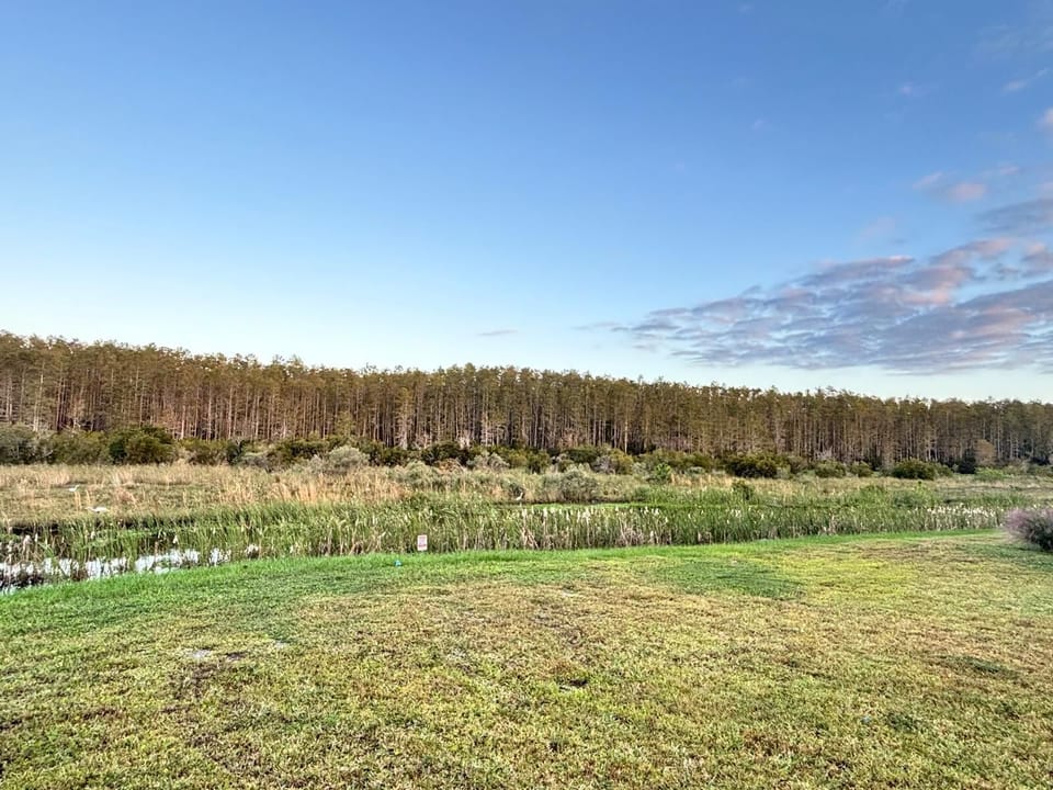 A Beautiful Natural Preserve as far as eye can see. Large Backyard with privacy