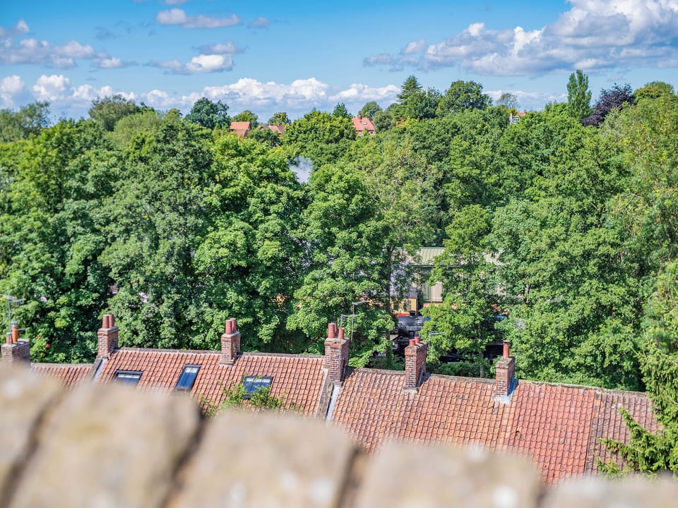 View | Clear View Cottage, Pickering