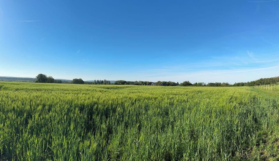 Immediate Surroundings [summer] (<1 km)