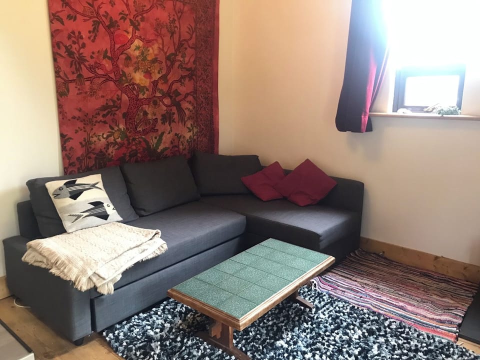 Sofa downstairs, can also be a bed