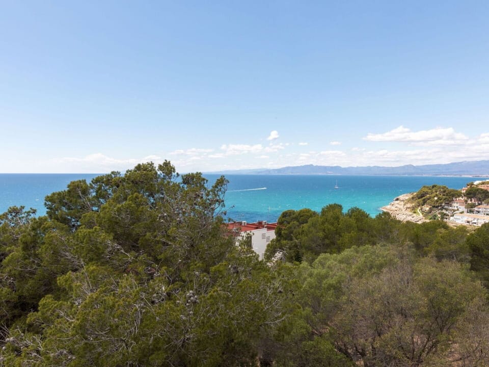 Sky, Cloud, Water, Azure, Natural Landscape, Tree, Coastal And Oceanic Landforms, Terrain, Cumulus, Horizon