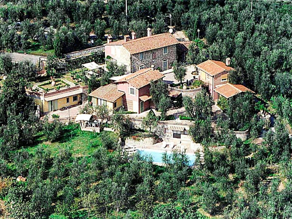 Vegetation, Property, Residential Area, Building, Estate, Mansion, House, Real Estate, Aerial Photography, Hill Station