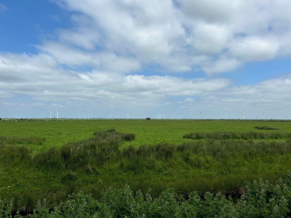 Views of the Romney Marsh
