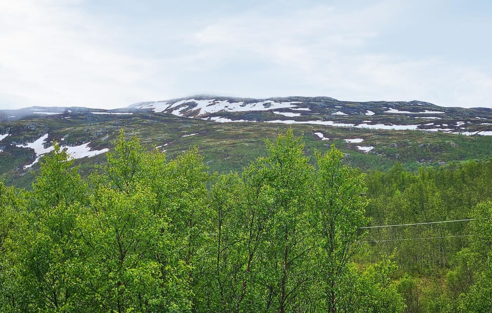 view-from-room