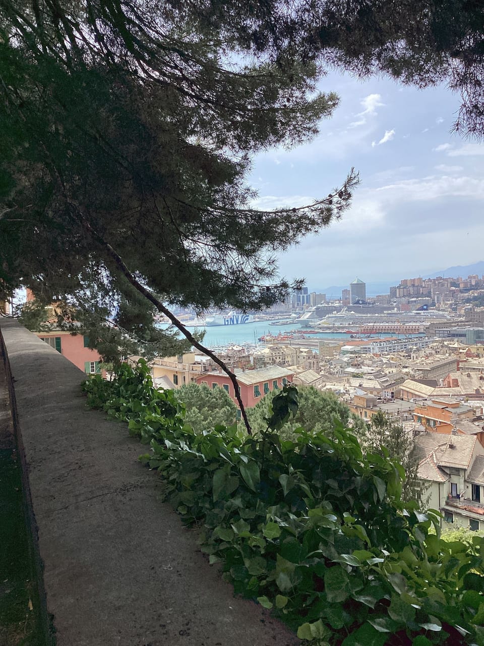 View from property