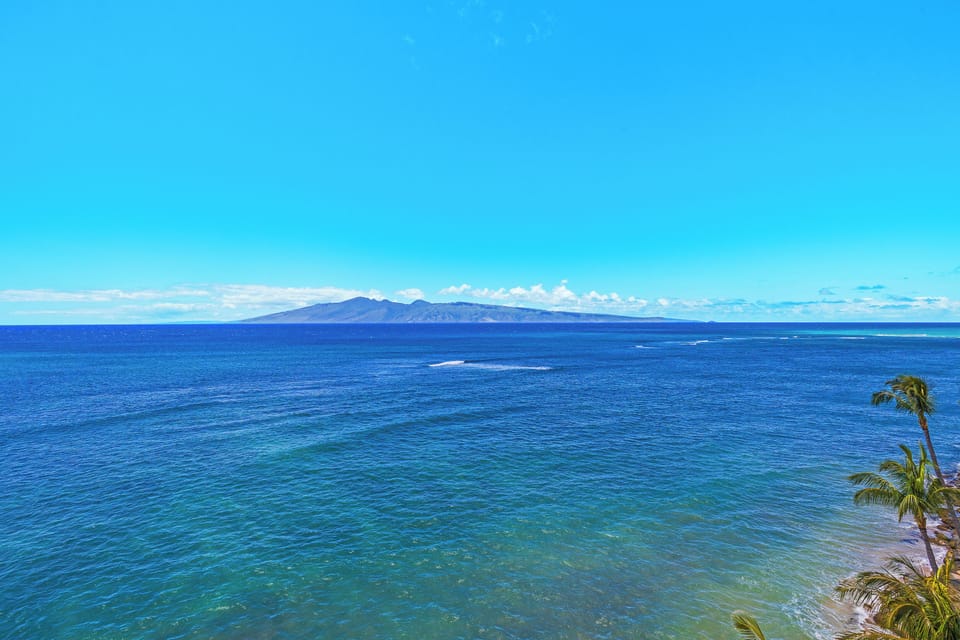 View from our balcony. Best place for whale, dolphins & turtle watching.