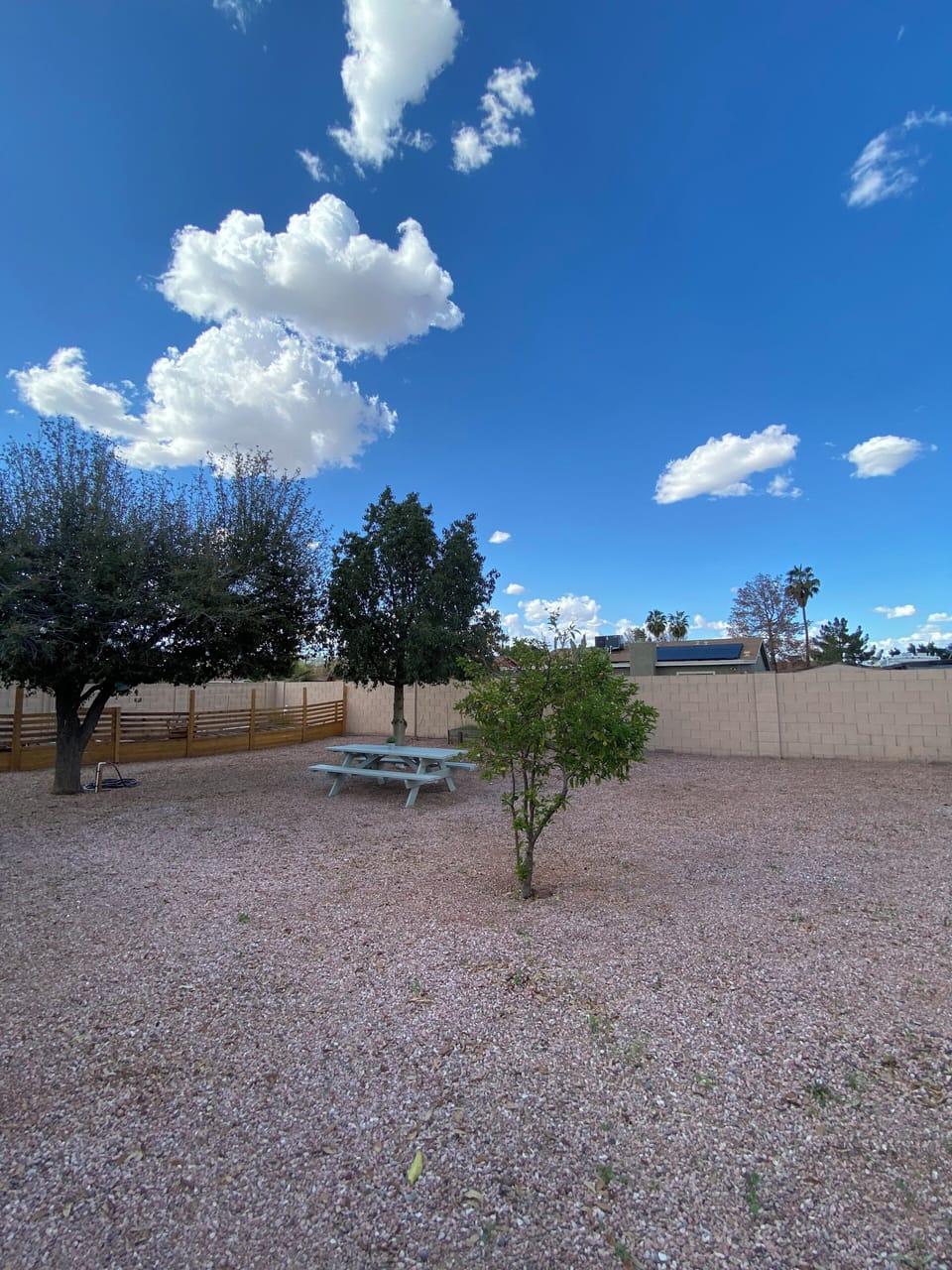 Large backyard!