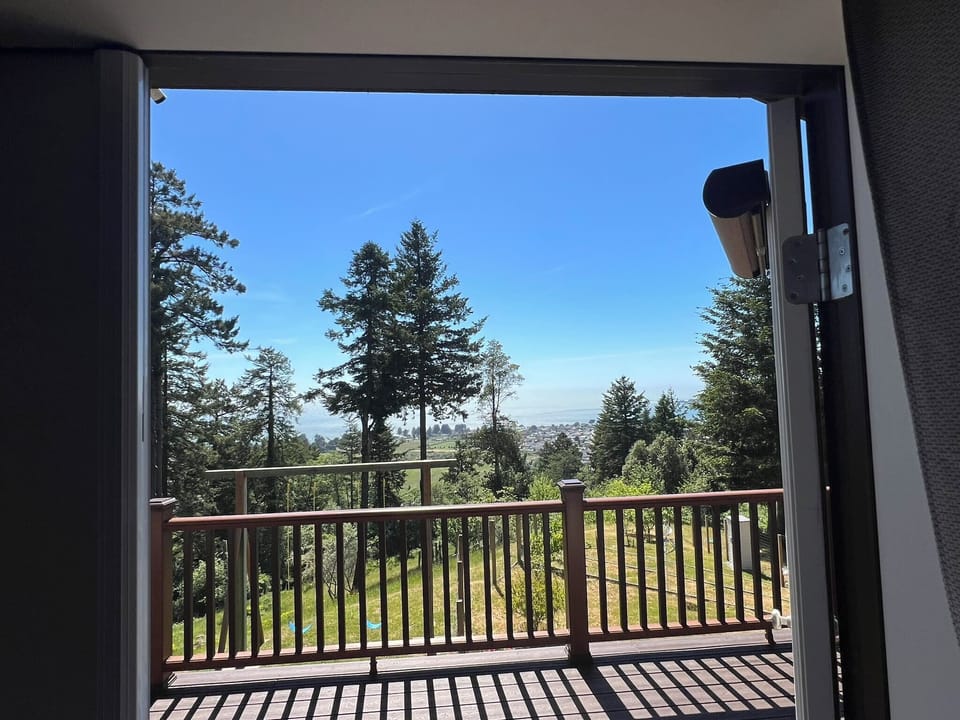 View from Livingroom