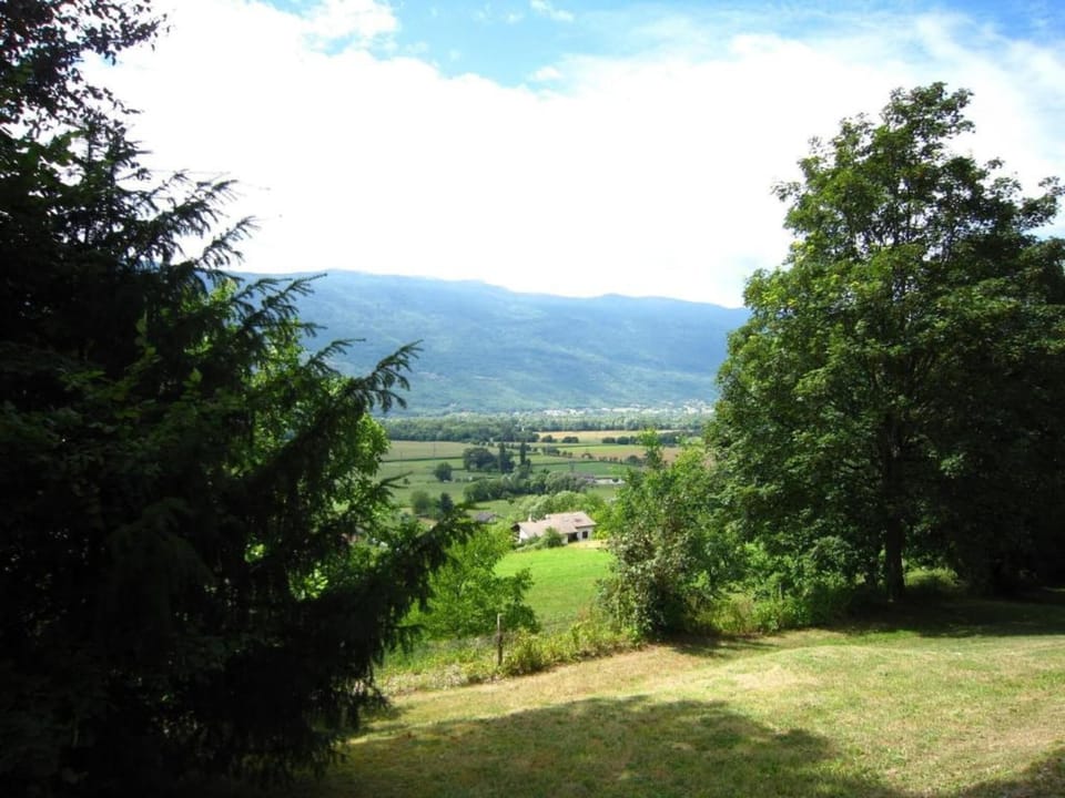 View from Holiday Home [summer]
