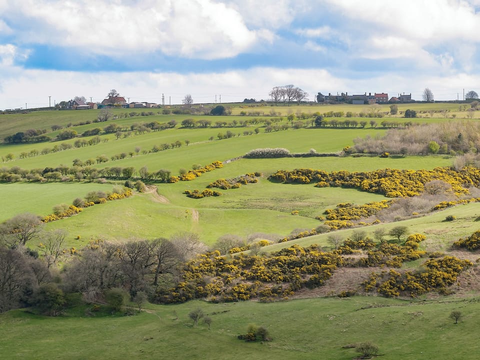 Wonderful countryside views | Seaview Cottage - The Forge and Seaview Cottage, Grinkle, near Staithes